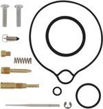  10030589 Carburettor repair kit