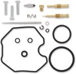  10030620 Carburettor repair kit