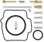  10030761 Carburettor repair kit