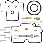  10030876 Carburettor repair kit