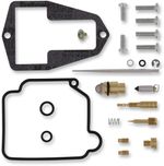  10030890 Carburettor repair kit