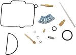  10031437 Carburettor repair kit