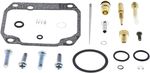  10031777 Carburettor repair kit
