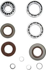  12050233 Differential bearings and seals kit