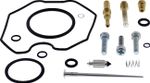  10031804 Carburettor repair kit