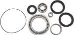  12050123 Differential bearings and seals kit