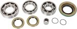  12050237 Differential bearings and seals kit