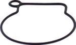  09347819 Float chamber gasket