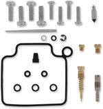  10030568 Carburettor repair kit