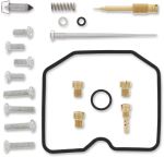 10030578 Carburettor repair kit