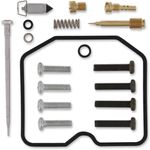  10030706 Carburettor repair kit