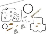  10030877 Carburettor repair kit
