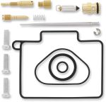  10030899 Carburettor repair kit