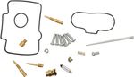  10030918 Carburettor repair kit