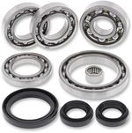  12050266 Differential bearings and seals kit