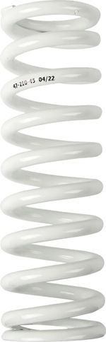 Ressort d'amortisseur 13120949