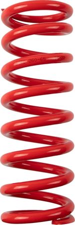 Ressort d'amortisseur 13121004