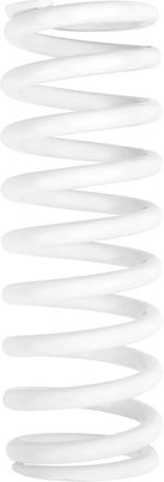 Ressort d'amortisseur 13121165