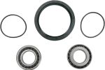  A251008 Radlagersatz + Simmerringe
