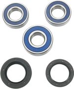  A251117 Radlagersatz + Simmerringe