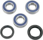  A251202 Radlagersatz + Simmerringe
