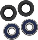  A251317 Radlagersatz + Simmerringe