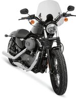 Pare brise The Shooter