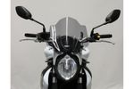 Bulle Racing Screen NR SFV650 GLADIUS 2009 Smoke