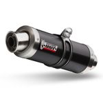 Silencieux GP inox noir/casquette inox