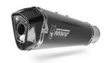 Silencieux Delta Race inox noir/carbone