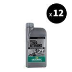  Two Stroke - 1 L x 12 Motorolie