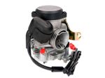  10010067 Carburettor