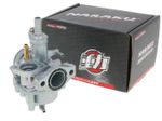  10020061 Carburettor