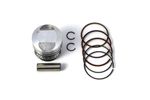  09110065 Piston kit