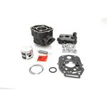  09311141 Cylinder-piston kit