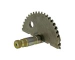 Engrenage Arbre