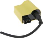  CDI-Gehäuse Elektronische Steuereinheit