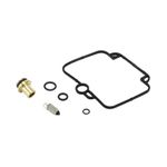  205181 Carburettor repair kit