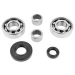 Kit roulement de boîte de vitesse CAGE AIGUILLES 50 SKF 2x6203 C4 2 x HK1412 2 SPI 12x20x5 - 17x35x7