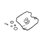  205189 Carburator Reparatieset