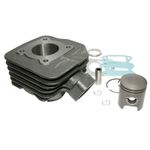  CYLINDER SCOOT ADAPTABLE PEUGEOT 50 TKR, TREKKER, SPEEDFIGHT AIR, VIVACITY, BUXY, SQUAB, ZENITH, ELYSEO, ELYSTAR -P2R GUSS MIT Zylinder-Kolben Satz