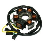  STATOR ZÜNDUNG 50 FÜR ADAPTABLE MINARELLI 50 AM6 (DUCATI) (LANGES KABEL OHNE PLATINE) -P2R- Zündstator