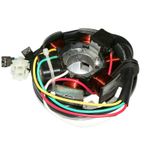  STATOR ZÜNDUNG 50 FÜR ADAPTABLE MINARELLI 50 AM6 - DERBI 50 SENDA (80W) (OHNE PLATINE) -P2R- Zündstator