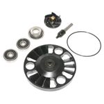 Kit réparation pompe à eau KIT REPARATION POMPE A EAU MAXISCOOTER ADAPTABLE APRILIA 125 ATLANTIC 2002+-GILERA 125 NEXUS 2007+ (KIT) -P2R-