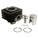  ZYLINDER SCOOT ANPASSBAR PIAGGIO 50 ZIP 2T, TYPHOON, LIBERTY 2T - VESPA LX 2T - GILERA 50 STALKER, ICE - APRILIA 50 SR AIR - P2R Zylinder-Kolben Satz