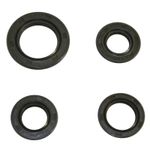  SPI SCOOT 50 4T GY6,139QMB Krukaskeerringen
