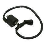  BOBINE 50 A BOITE Ontstekingsspoel