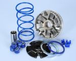 Variator 1011887