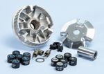 Variator 1012446