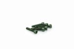 Kit Visserie Carénage En Aluminium Anodisé Vert Blister 6 vis allen M5x25mm